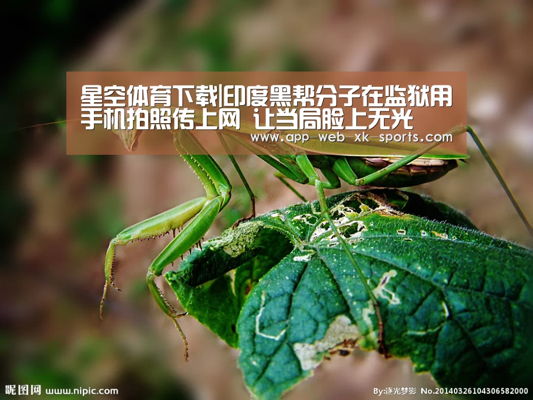 星空体育下载|印度黑帮分子在监狱用手机拍照传上网 让当局脸上